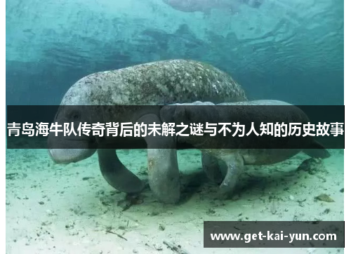 青岛海牛队传奇背后的未解之谜与不为人知的历史故事